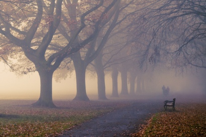 Autumn Fog by Strep72
